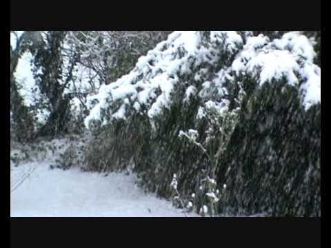 SUPERTALENT 2010 in Deutschland gewinnt Freddy Sain Scholl..