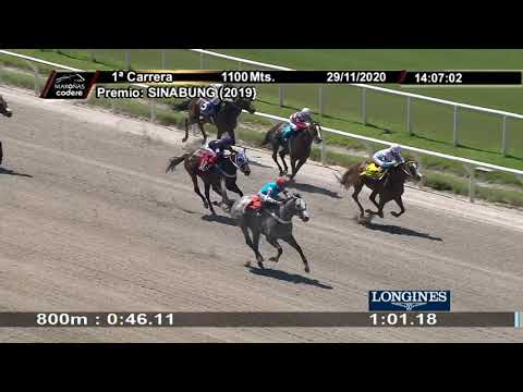 201129 c1 1° GUAJUVIRA (BRZ) - MAROÑAS