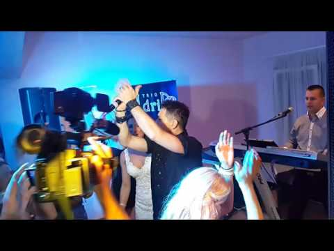 TRIO ADRIA & TIHO ORLIĆ 2016.