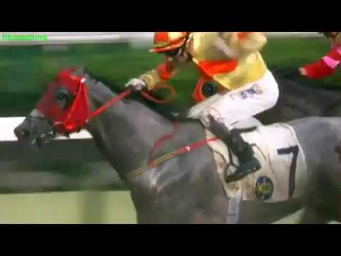 2010 The Chinese Recreation Club Challenge Cup - Royal Pericles (魄力王) - 潘頓