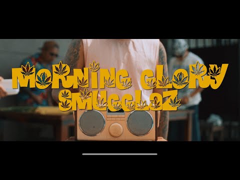 Smugglaz - Morning Glory (Official Music Video)