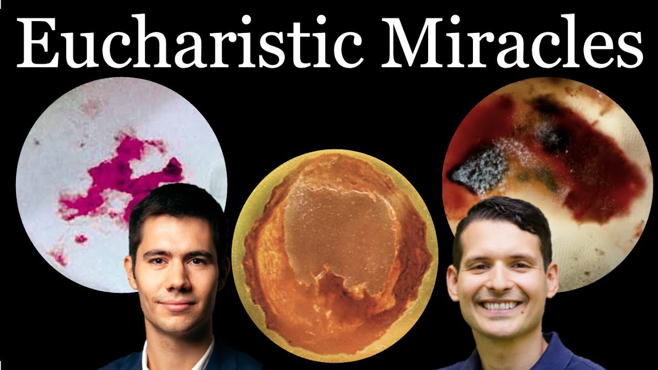 Eucharistic Miracles Scientific Evidence Details
