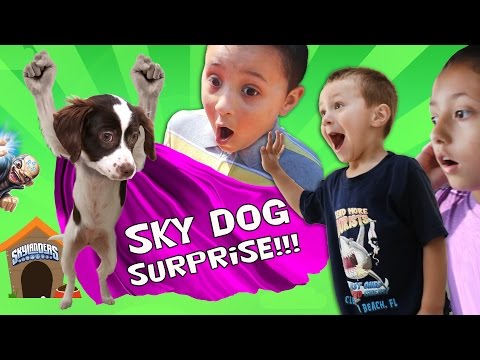 THE SKYLANDER DOG SURPRISE!! (Sky Kids Get a Puppy from Kaos?)