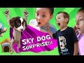 THE SKYLANDER DOG SURPRISE!! (Sky Kids Get ...