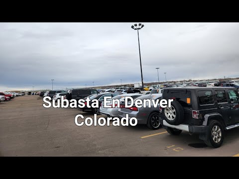 Subasta para dilers Denver Colorado