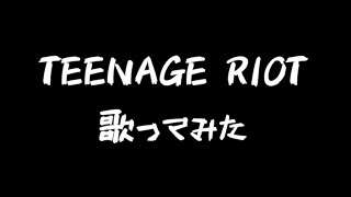 「TEENAGE RIOT」を歌ってみた。by Navys