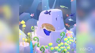 お魚に癒されるゲーム実況【アビスリウム】part4