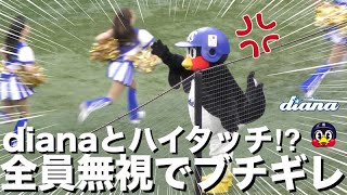 《プロ野球 チアリーダー》横浜DeNAベイスターズ diana ディアーナ  ハイタッチを試みるも全員無視でブチギレるつば九郎  cheerleader  《BraveTV》