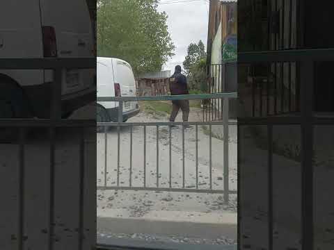 Carrera De Auto Vs TLD 503 y Puente. Sobre Rio Negro Alerce Chile Región De Los Lagos