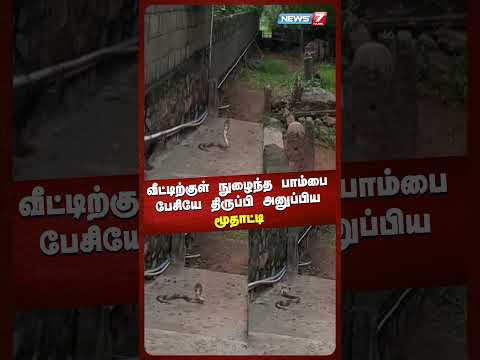வீட்டிற்குள் நுழைந்த பாம்பை பேசியே திருப்பி அனுப்பிய மூதாட்டி