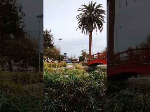 #Parque Japonés #antofagasta