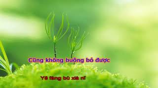 Download lagu [ Vietsub-Pinyin]@ Tình yêu không thay đổi - 不变的情缘 - 作曲：正云 (Chính Vân) mp3