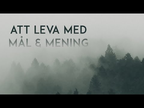 190217 Predikan - "Vad i hela världen gör jag här?", Johannes Magnusson