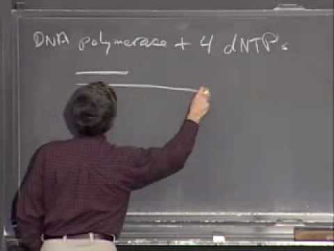 Recombinant DNA II 