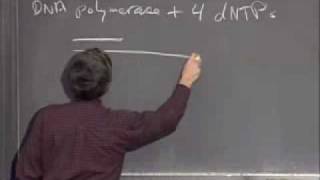 Lec 25 | MIT 7.014 Introductory Biology, Spring 2005