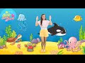 Sea Creatures Song In Spanish Medusa Jellyfish Los Animales Marinos Action Song For Kids