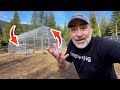 I Tried Building an Off-Grid Greenhouse...And You Won't Believe What Happened