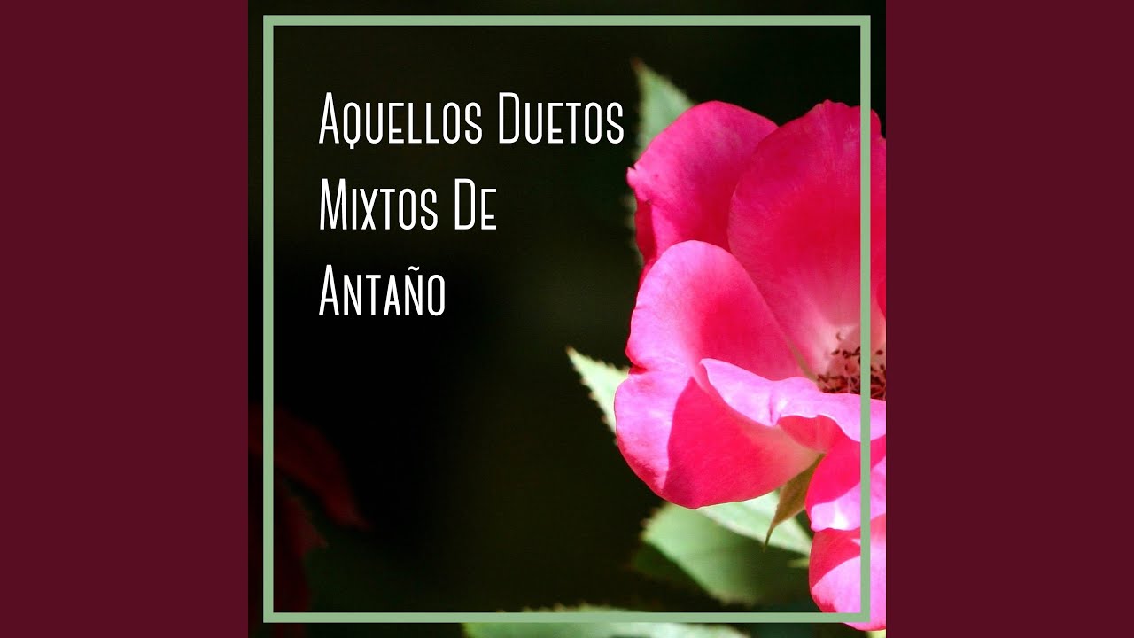 Nunca Vuelvas A Amar