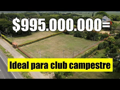 Lotes, Venta, Palmira - $990.000.000