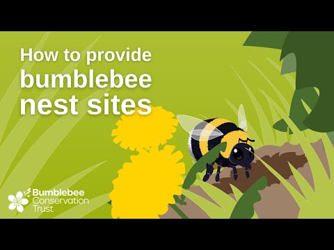 How to provide bumblebee nest sites