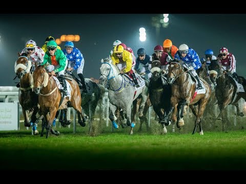 17th Race Meeting of Season 2019/2020