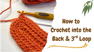 How to Crochet into the Back Loop & the 3rd Loop, Tutorial No: 70 🍃🌾🌿 #crochet #crochetprojects