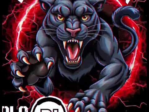 Dónde están las malcriadas 🤣🔥 ( cholo DJ ) 🔥