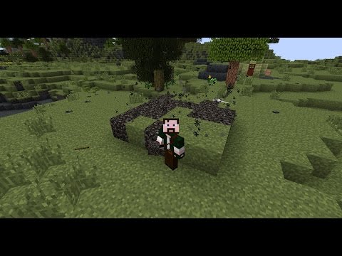 Tweety79rw . Live Stream Terrafirmacraft : continuing the new map