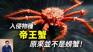 [問卦] 帝王蟹不是螃蟹？