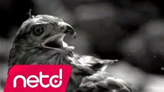 Vasiyet   Sagopa Kajmer