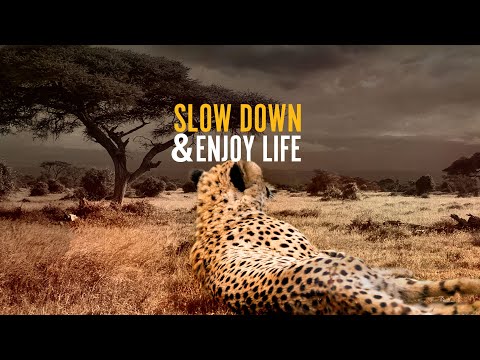 Slow Down and Enjoy Life (2020) - Preview