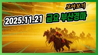 2025년 11월 21일 금요 부산경마 전체경주 모아보기