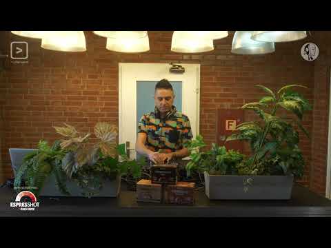 klubforward.org - Steyoyoke Showcase - Soul Button (2/4)