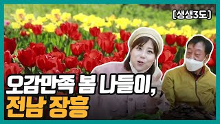 하늘빛수목정원 생생3도 오감만족 봄 나들이 전남장흥편