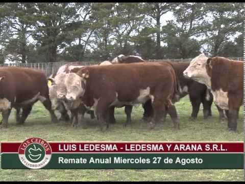 Luis Ledesma - Martillero - Los Ceibos - Remate Anual 27 de Agosto