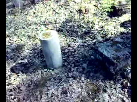 Tässä on olut talo