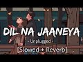 Dil Na Jaaneya [Slowed+Reverb] Unplugged | Arijit Singh | Lofi | Textaudio | Revibe