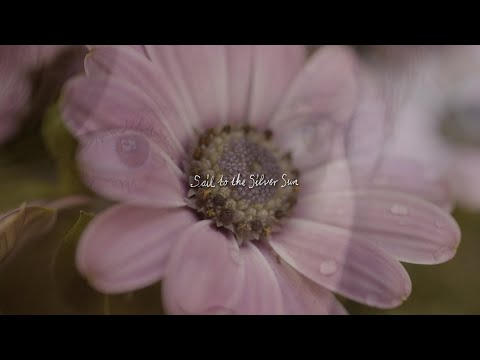 Eerie Wanda - Sail To The Silver Sun (Official Video)