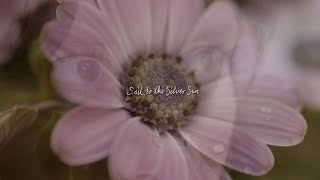 Eerie Wanda – “Sail To The Silver Sun”