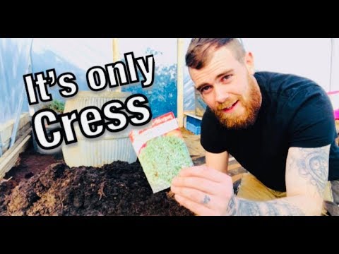 Sowing Cress Seeds: Fast - Easy & Tasty