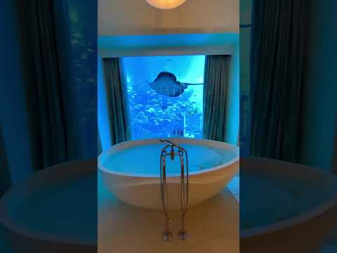Atlantis The Palm
