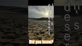 鳥取砂丘 砂場Japans ONLY Desert Tottori Sand Dunes #Japan #Travel #HiddenGem #Desert