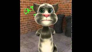 The Lion sleep to night.