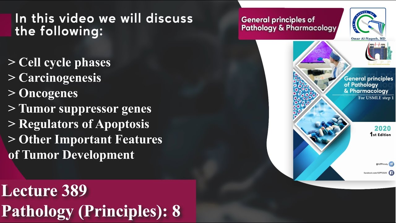 Cell cycle phases | Carcinogenesis | Oncogenes | Tumor suppressor genes