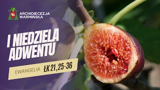 SŁOWO NA NIEDZIELĘ  - I NIEDZIELA ADWENTU ROK C [01.12.2024 r.]  Abp Józef Górzyński