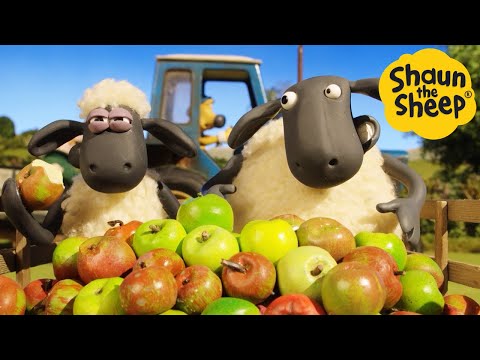 Shaun the Sheep ???? Apple Pie? - Cartoons for Kids ???? Full Episodes Compilation [1 hour]