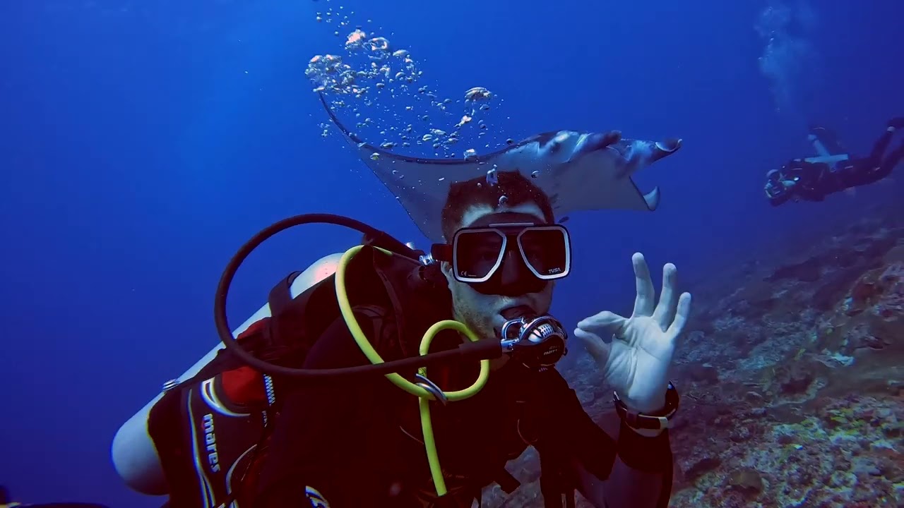 Unveiling the Thrills of Diving at Manta Point!