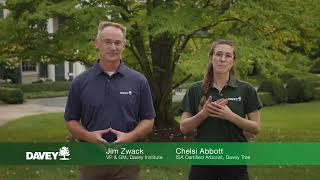 Davey SoilCare®: How to Improve Soil Health With Biochar