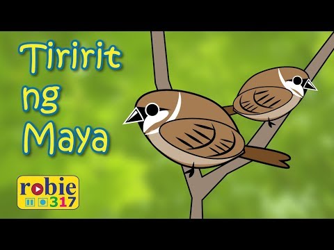 Isang maayos na diyeta para sa pagbaba ng timbang sa bahay para sa mga kababaihan higit sa 30 Kung gaano karaming kg bawat buwan nawala timbang sa Reduxine