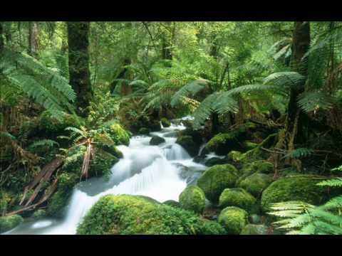 Steve Winwood The Finer Things